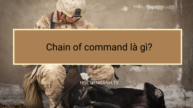 Chain of command là gì?