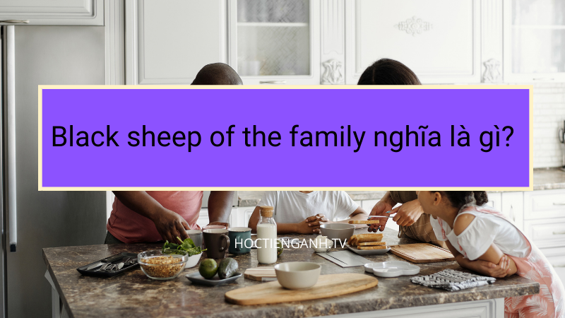 Black sheep of the family nghĩa là gì?